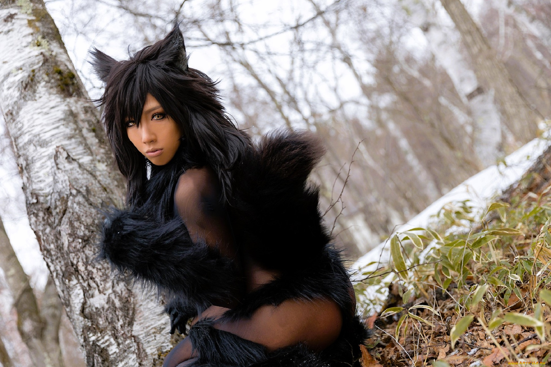 девушки, nonsummerjack, образ, косплей, наряд, мех, костюм, лес, березы, снег, ушки, хвост
