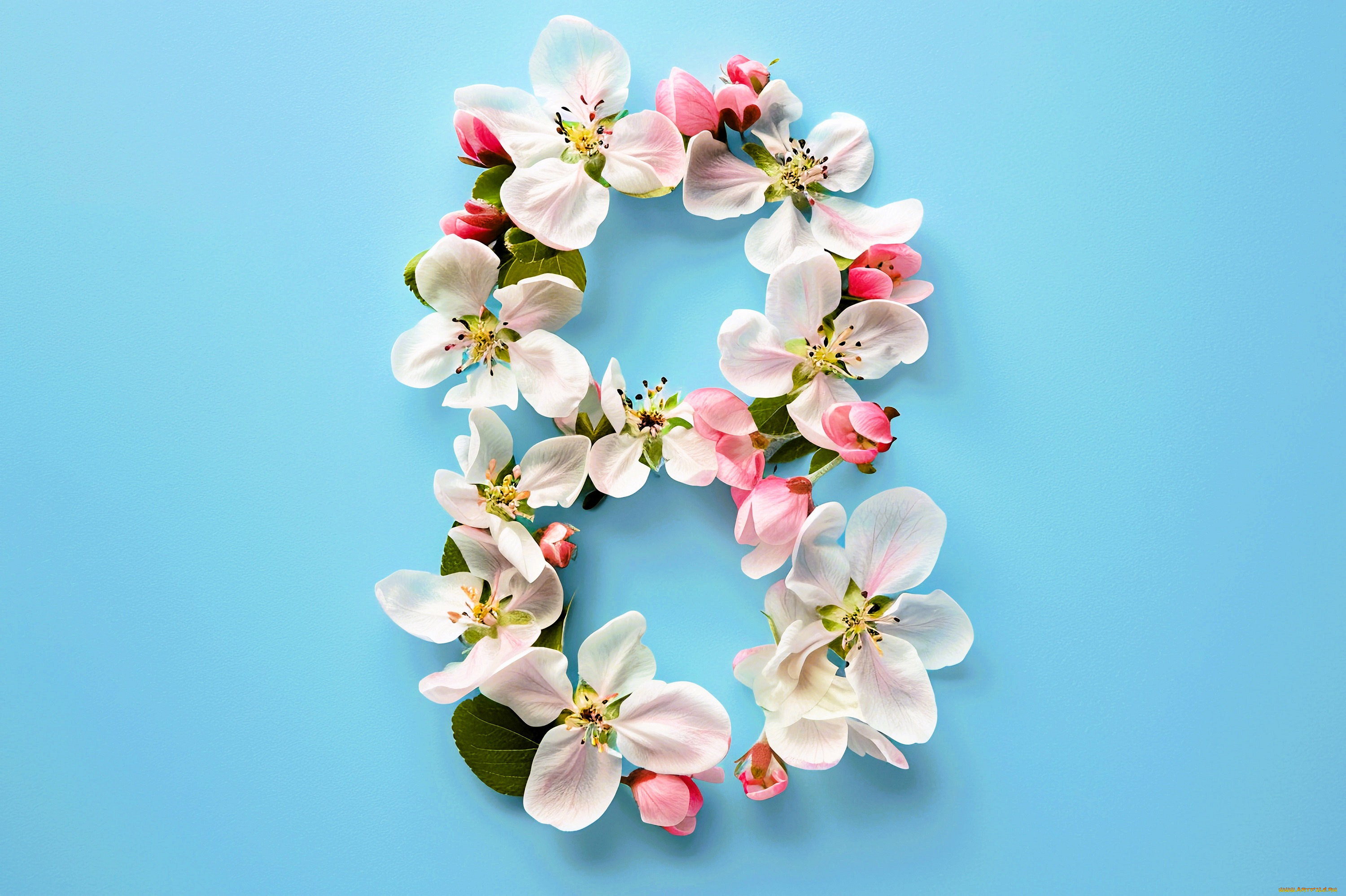 праздничные, международный, женский, день, -, 8, марта, цифра, цветы, весна