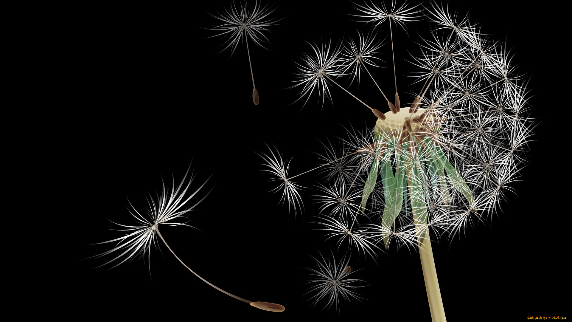 3д, графика, flowers, цветы