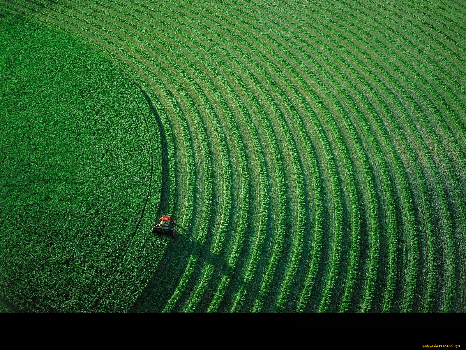 техника, комбайны