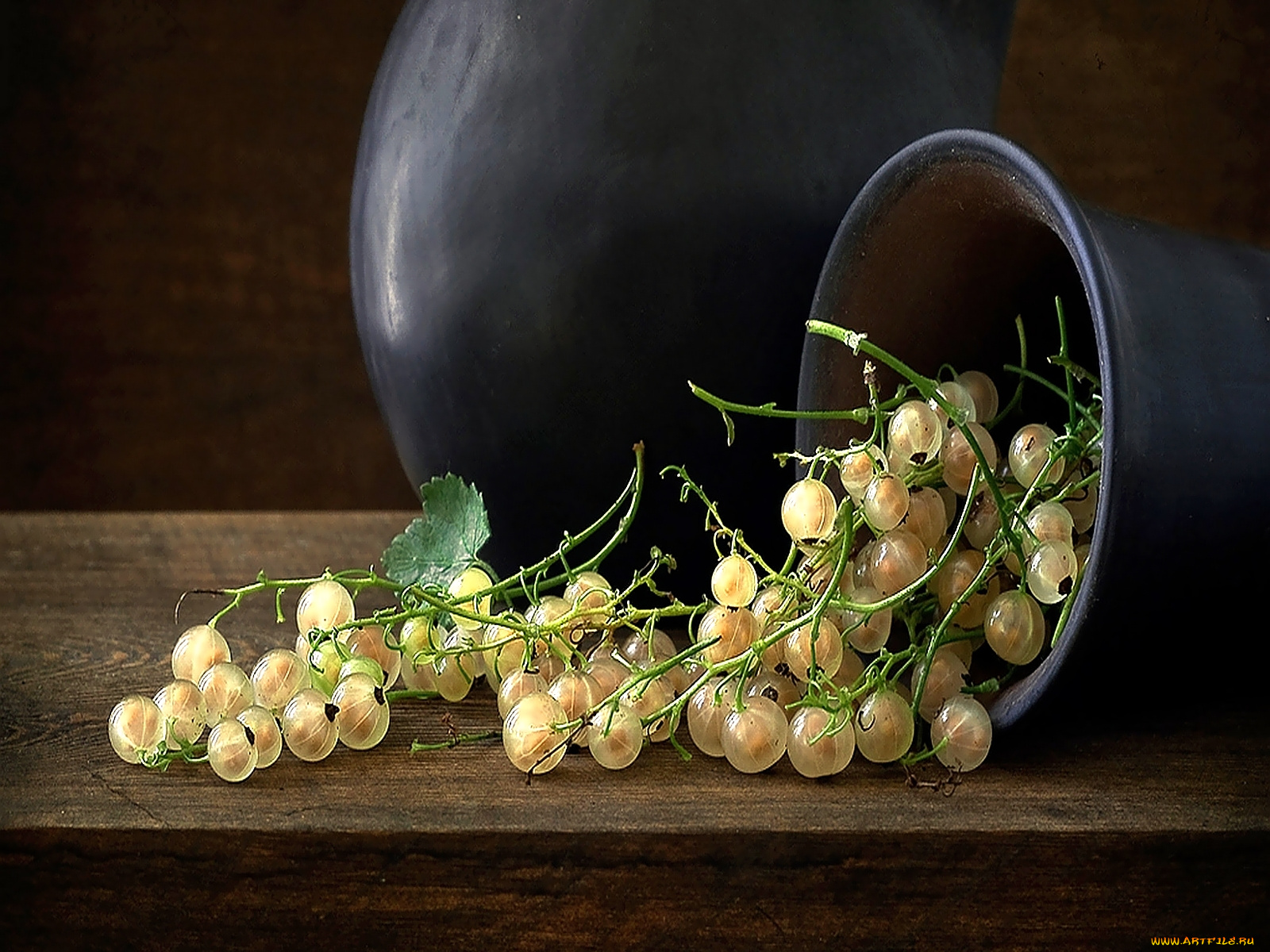 еда, смородина, белая