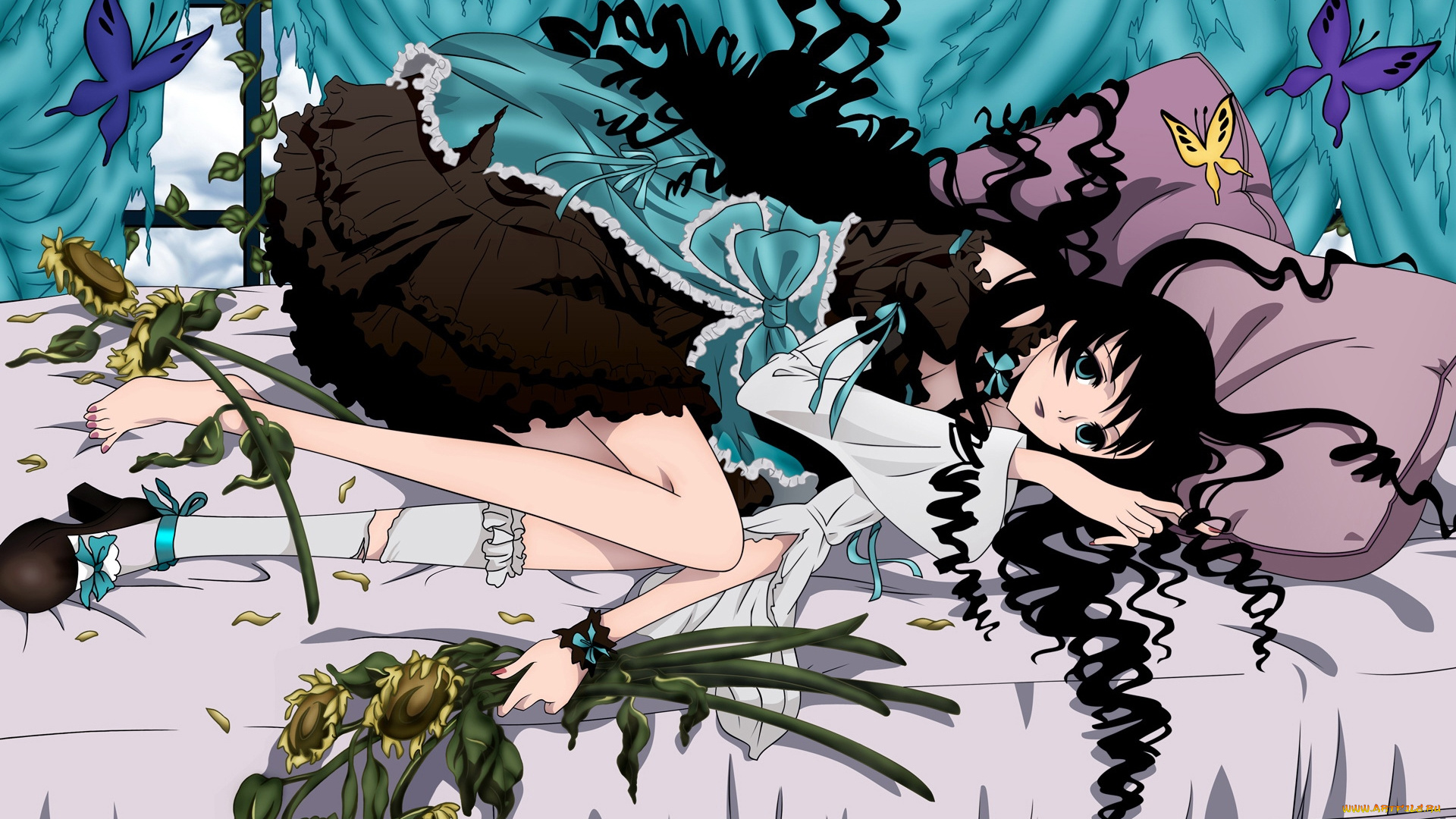 аниме, xxxholic