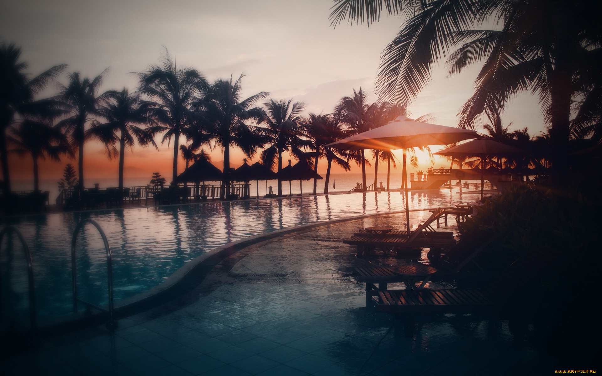 природа, тропики