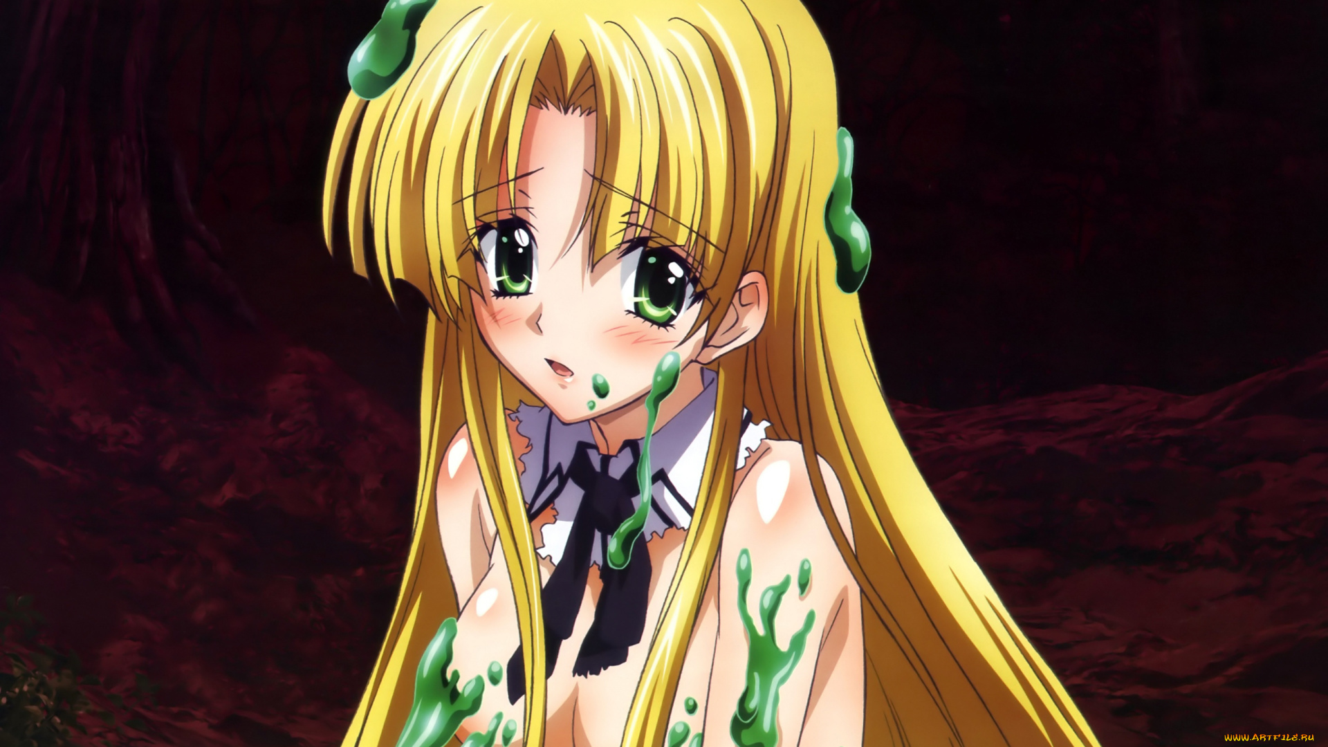 аниме, highschool, dxd