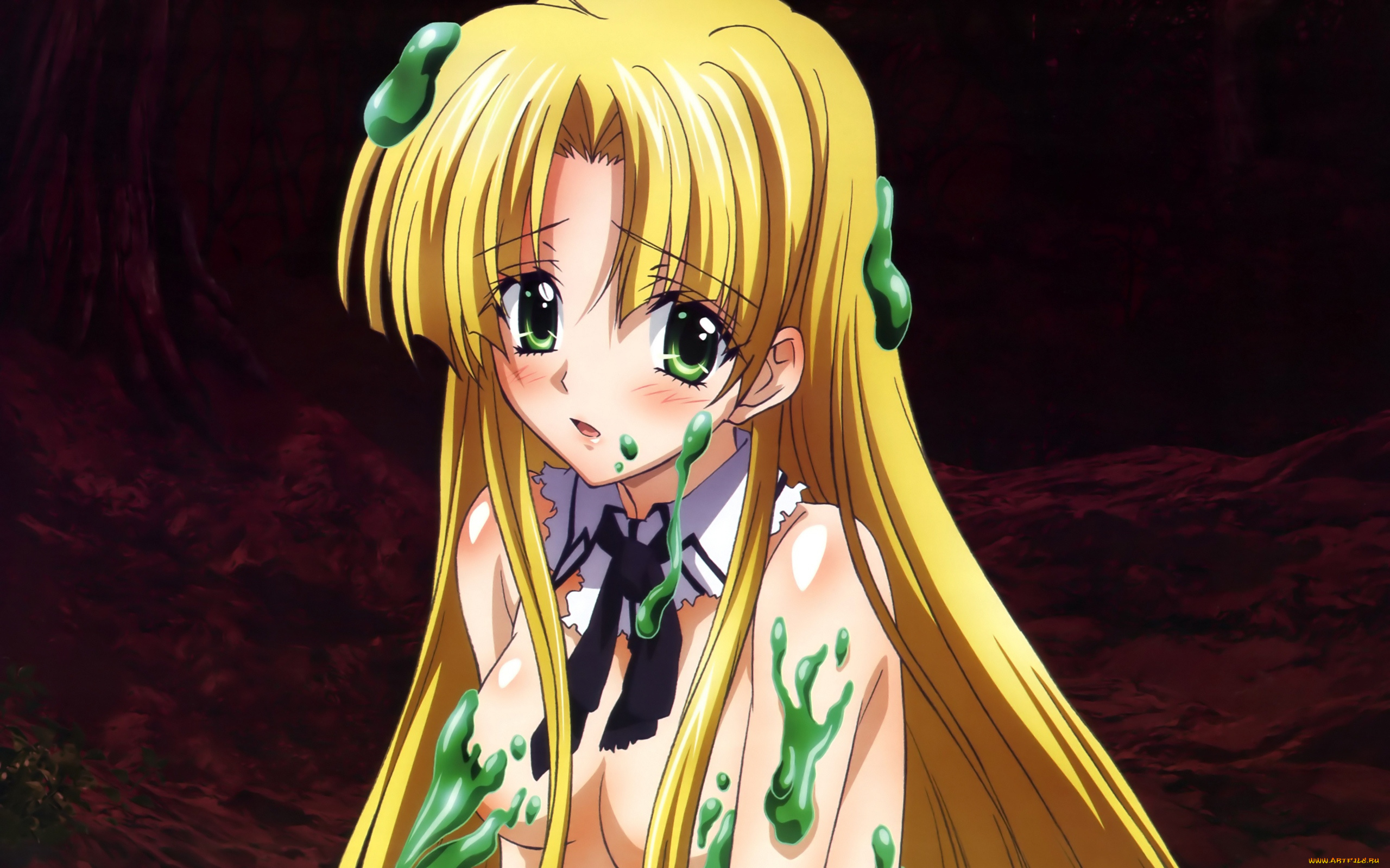 аниме, highschool, dxd