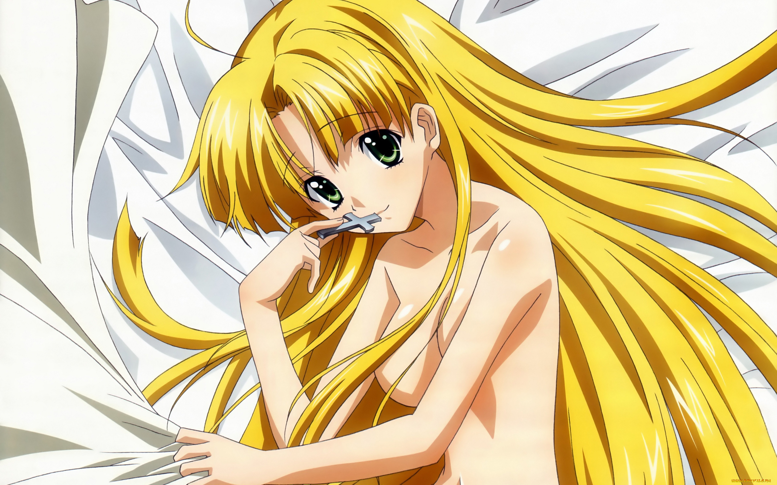 аниме, highschool, dxd