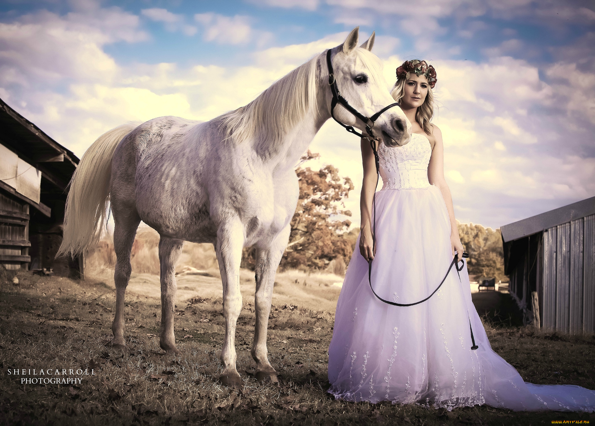 девушки, -unsort, , блондинки, лошадь, невеста