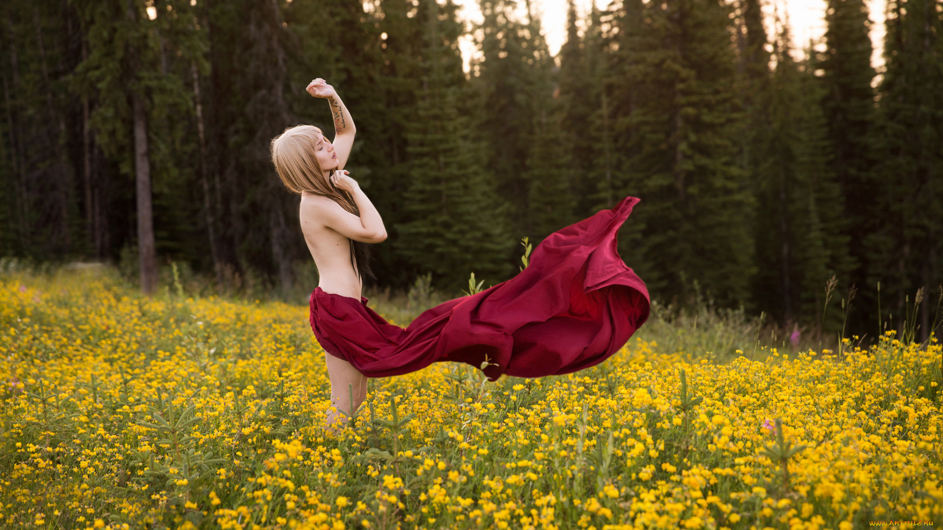 девушки, -unsort, , блондинки, лес, ветер, красная, ткань, луг, девушка