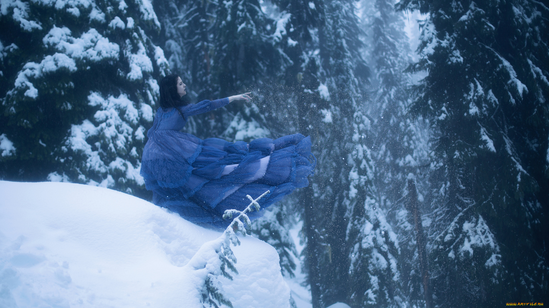 девушки, -unsort, , брюнетки, , шатенки, ели, деревья, снег, зима, синее, платье, девушка