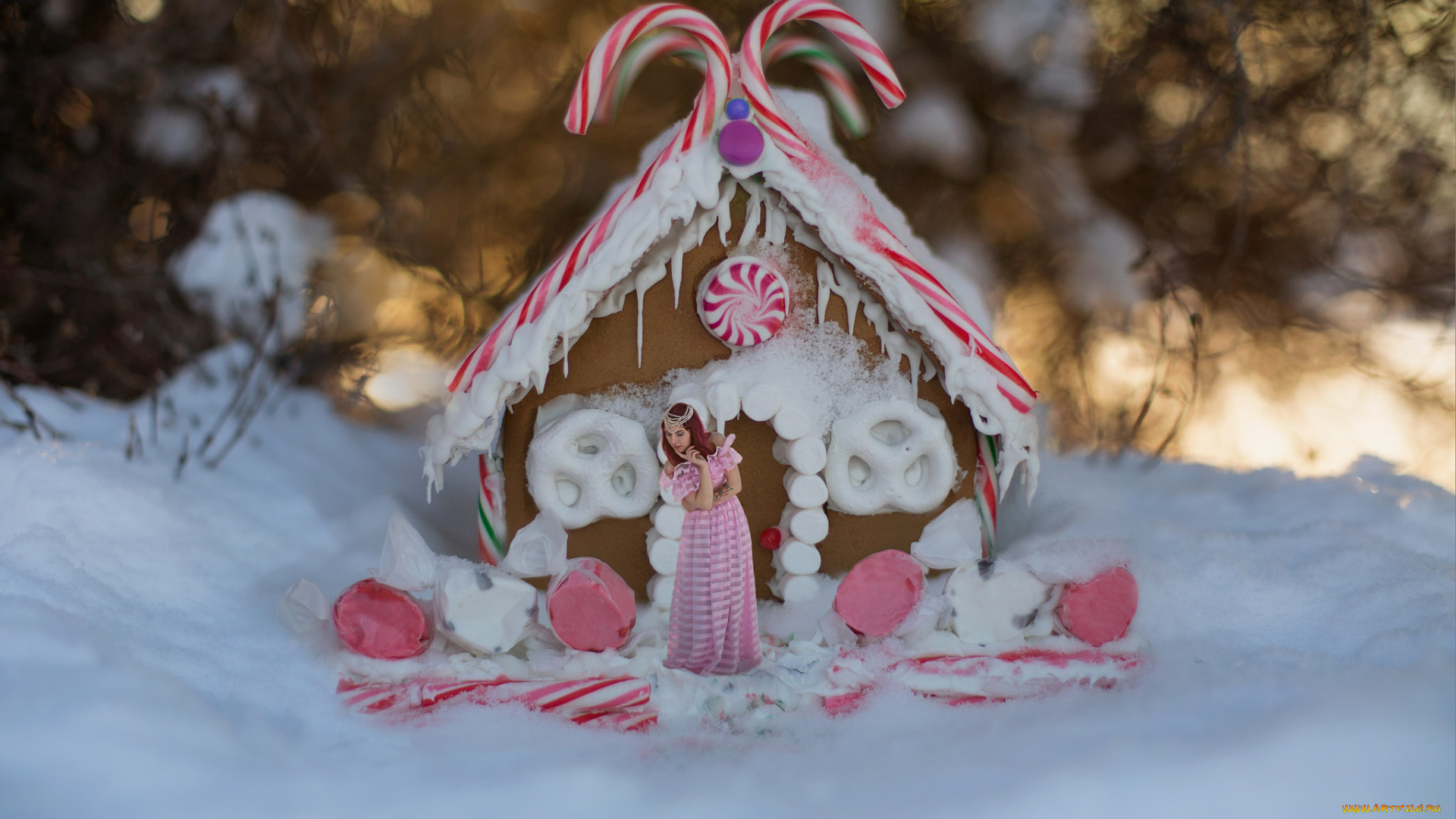 девушки, -unsort, , креатив, рыжая, девушка, домик, конфеты, сахарный