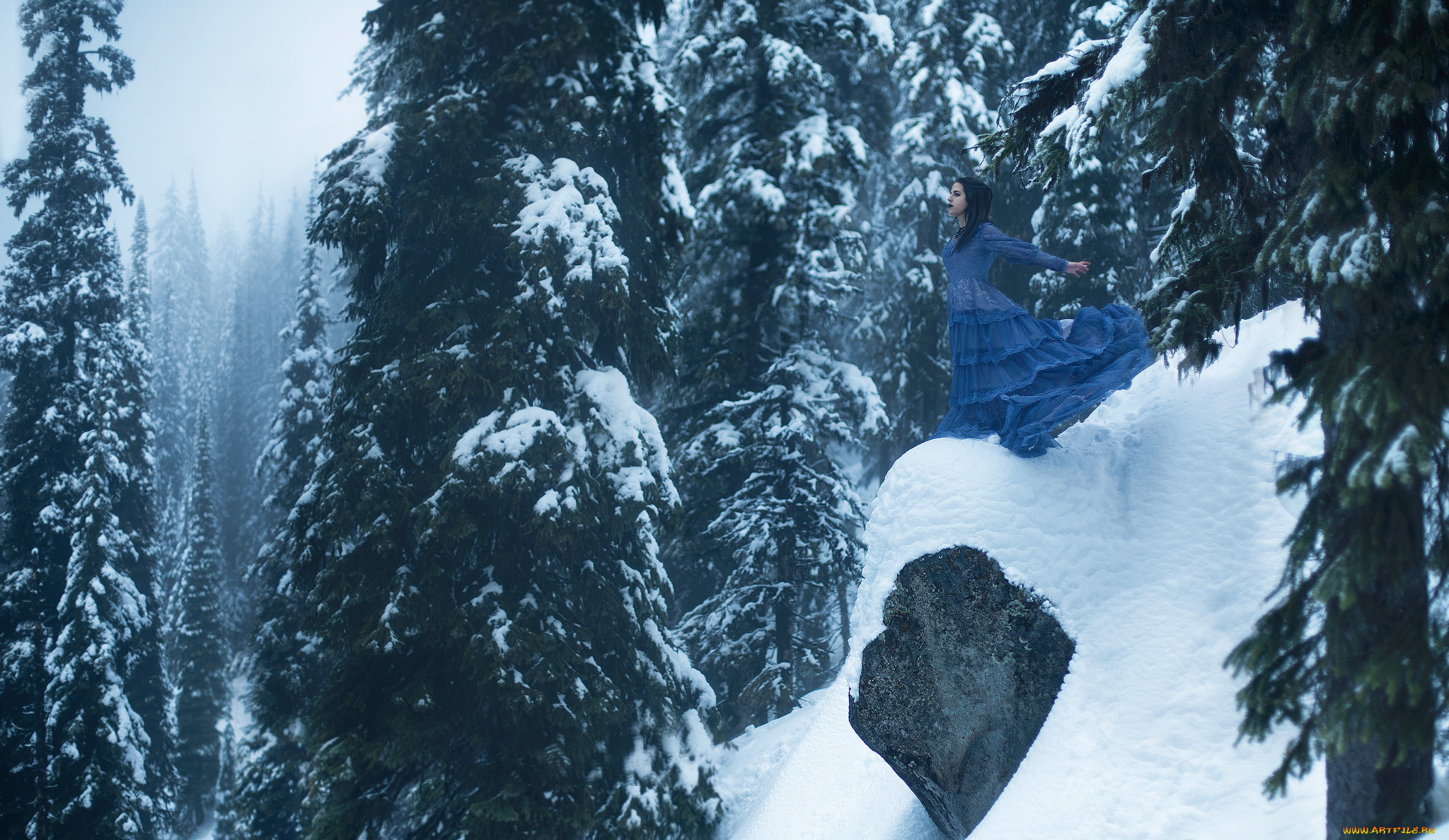 девушки, -unsort, , брюнетки, , шатенки, зима, ели, деревья, снег, синее, платье, девушка