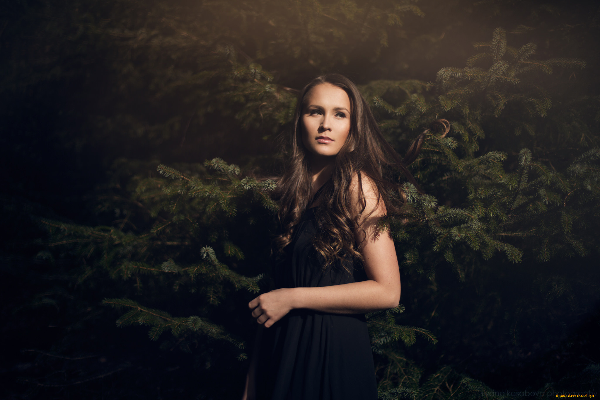 девушки, -unsort, , брюнетки, , шатенки, ель, девушка, шатенка