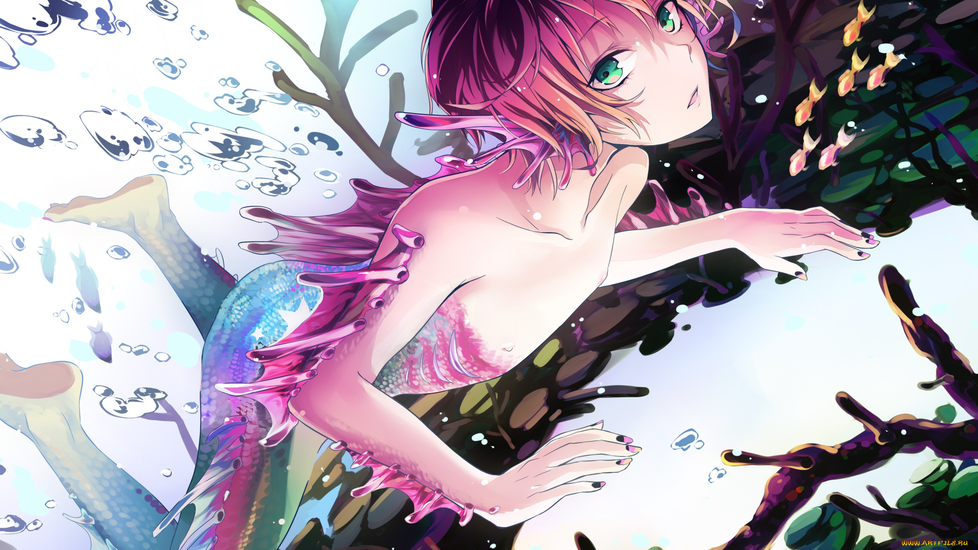 аниме, животные, , существа, арт, русал, парень