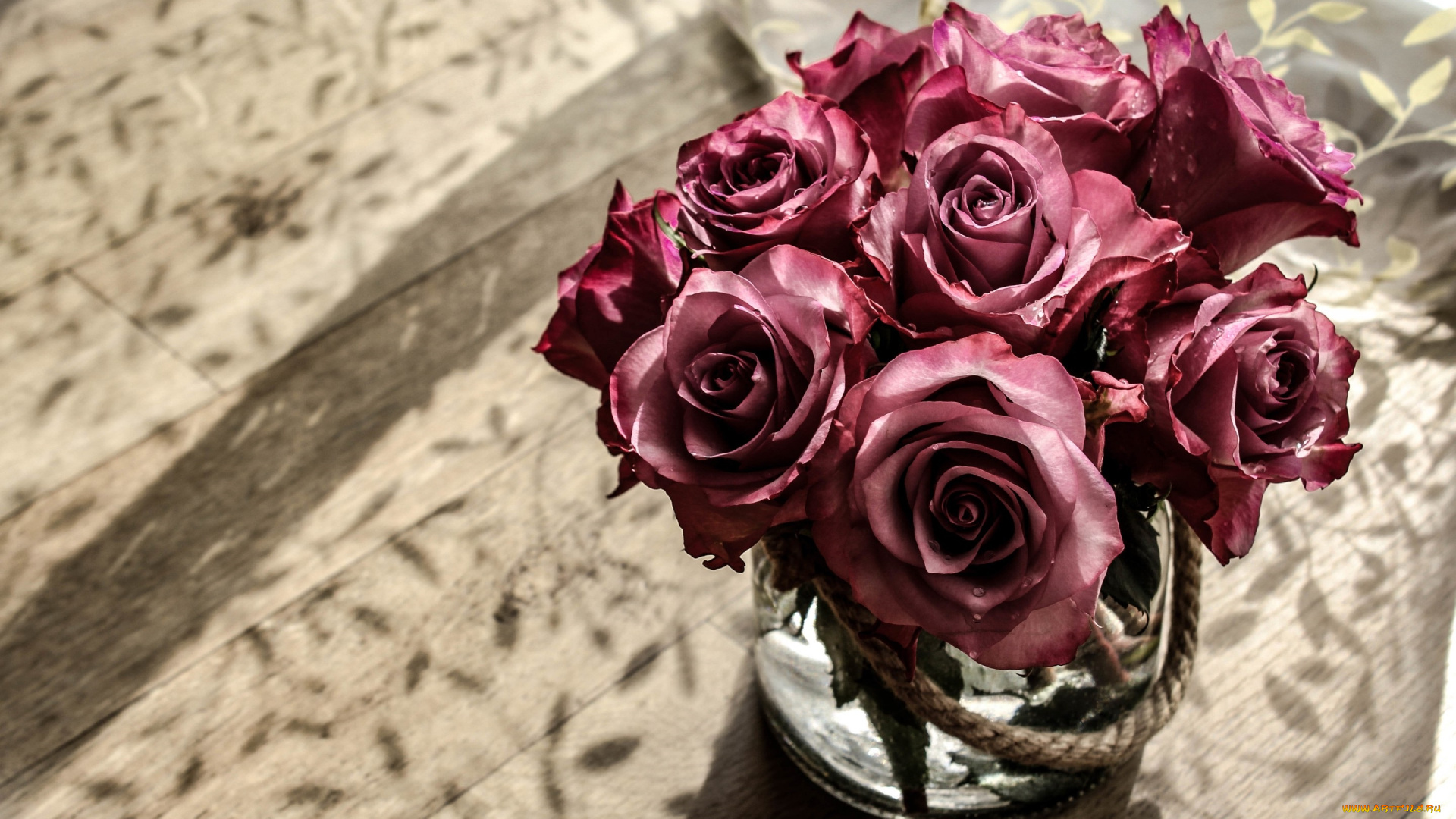 цветы, розы, фон