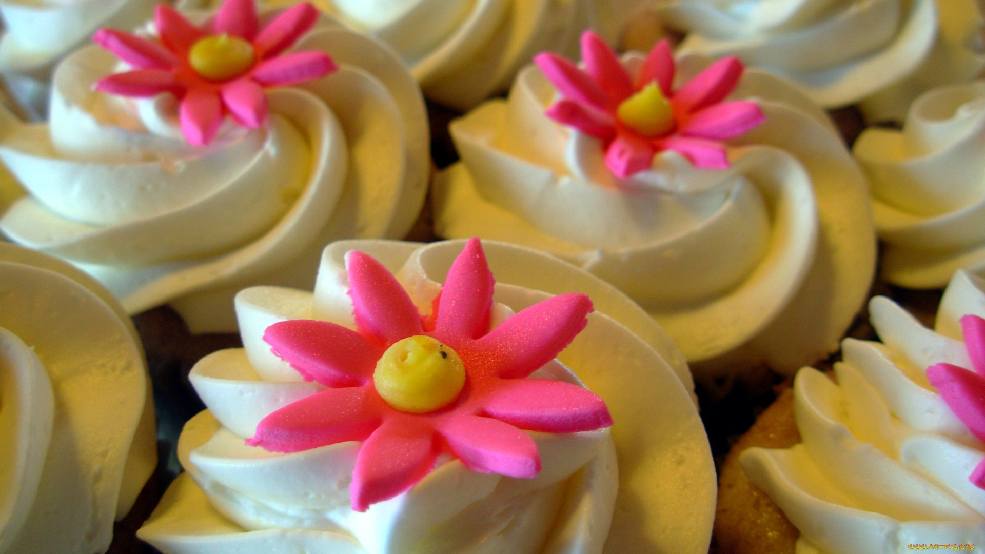 еда, пирожные, , кексы, , печенье, капкейки