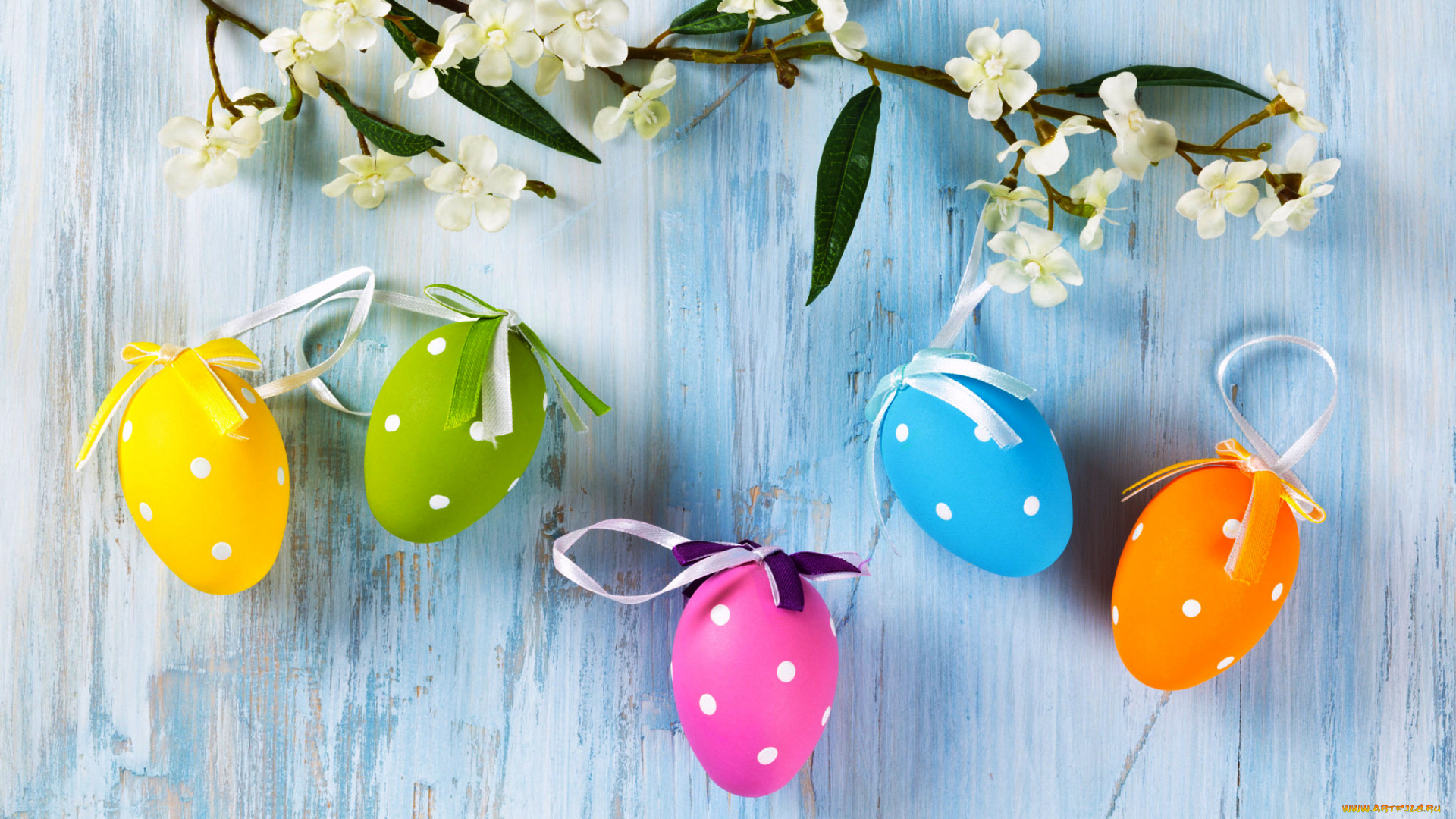 праздничные, пасха, ветка, цветы, яйца, крашенки, стена