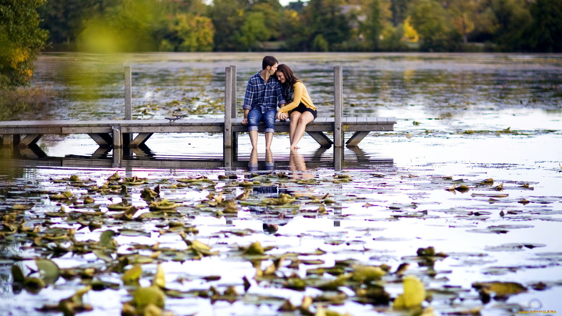 разное, мужчина, женщина, пруд, влюбленные, лилии, мостки