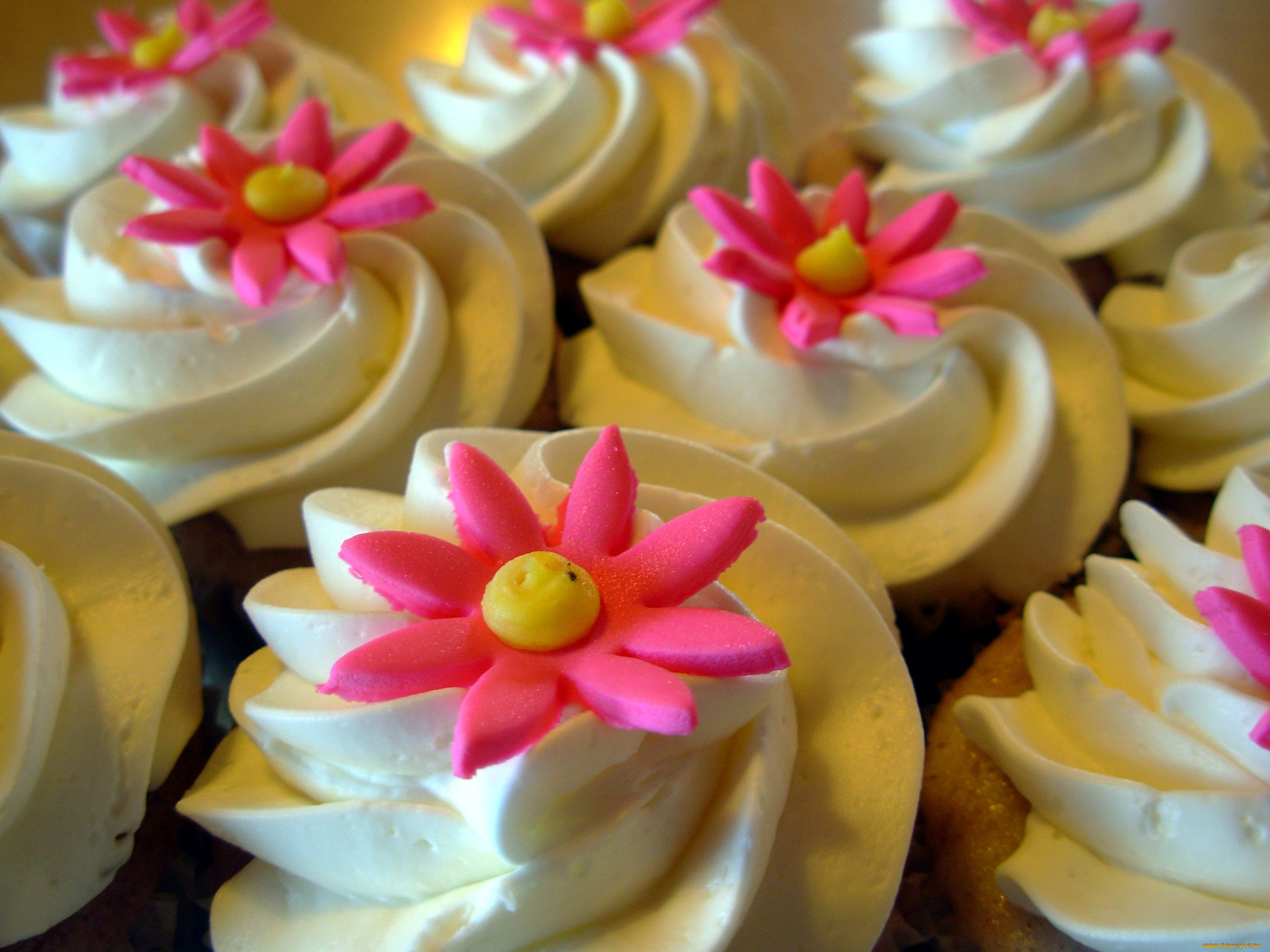 еда, пирожные, , кексы, , печенье, капкейки