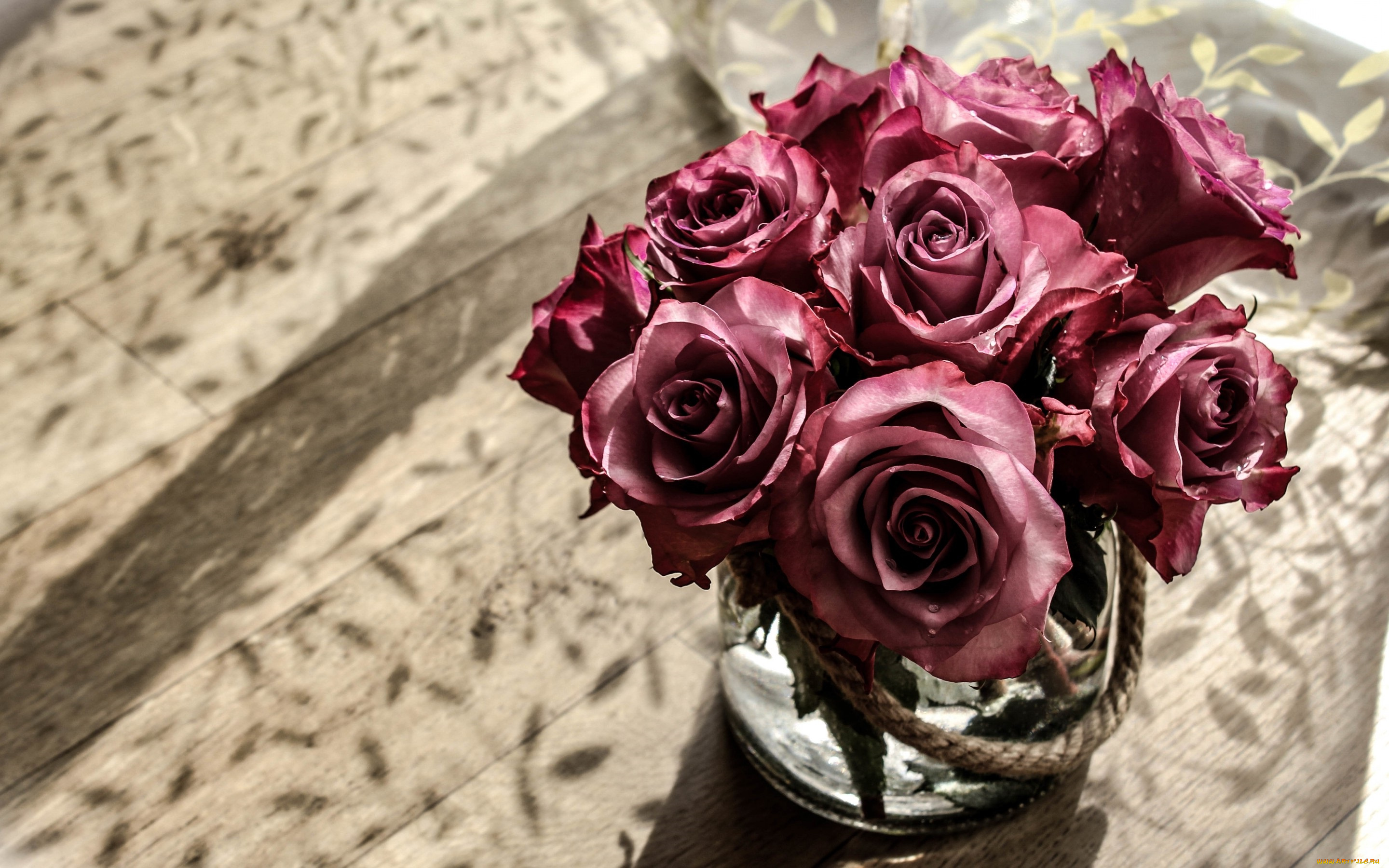 цветы, розы, фон