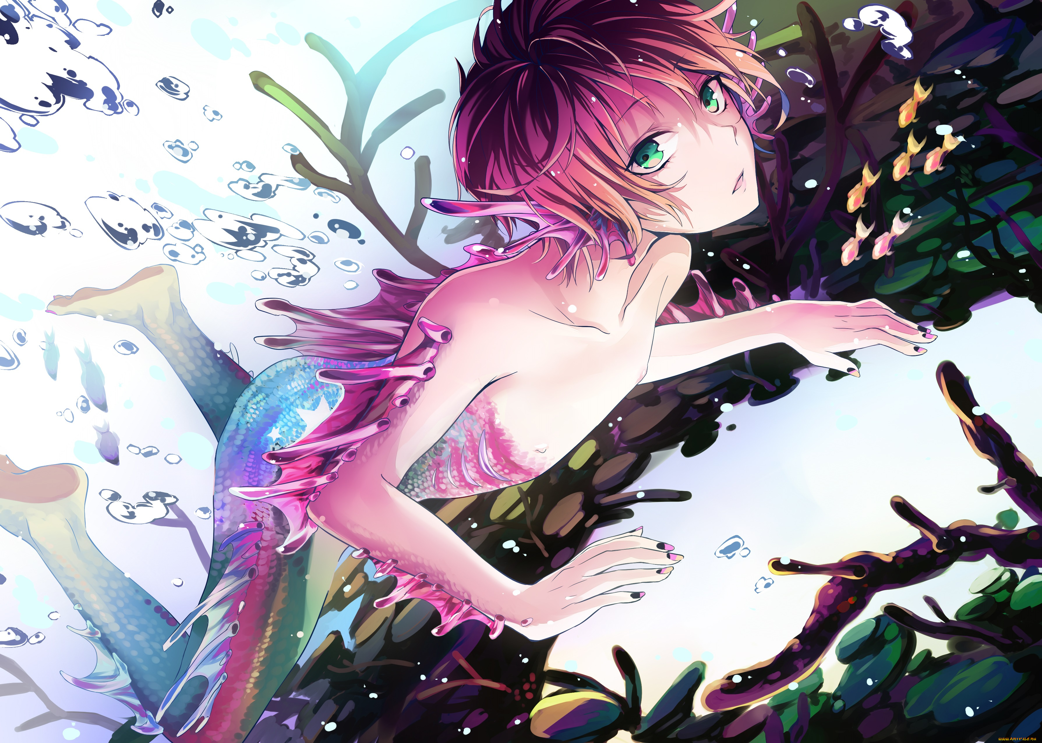 аниме, животные, , существа, арт, русал, парень