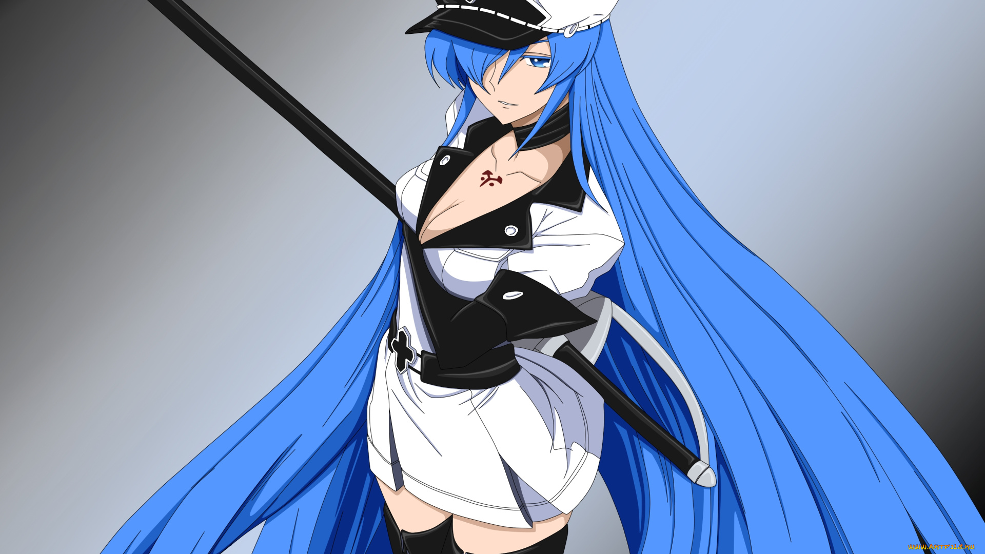 аниме, akame, ga, kill, девушка, взгляд, фон