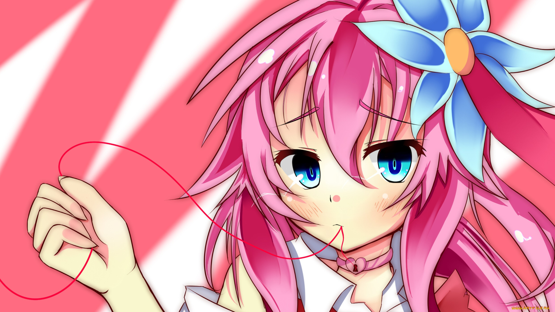 аниме, no, game, no, life, фон, взгляд, девушка