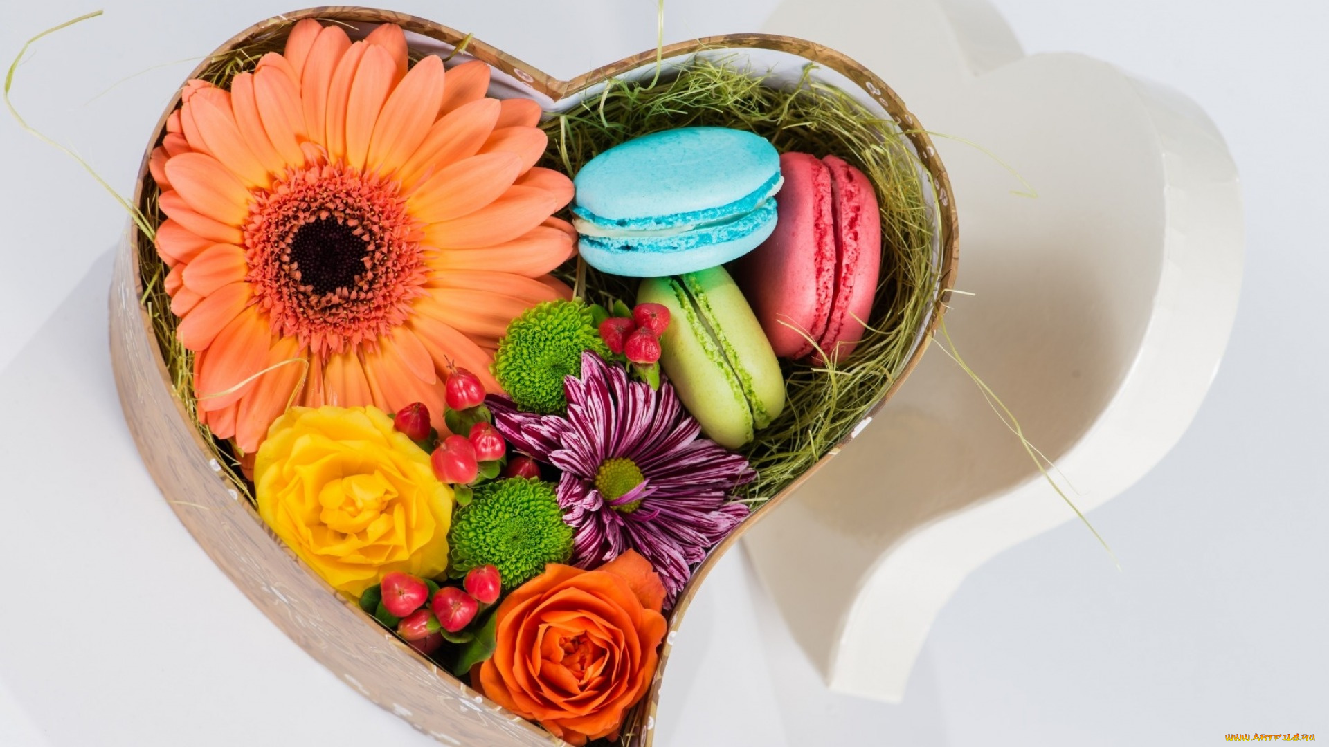 еда, макаруны, герберы, розы, хризантема, подарок