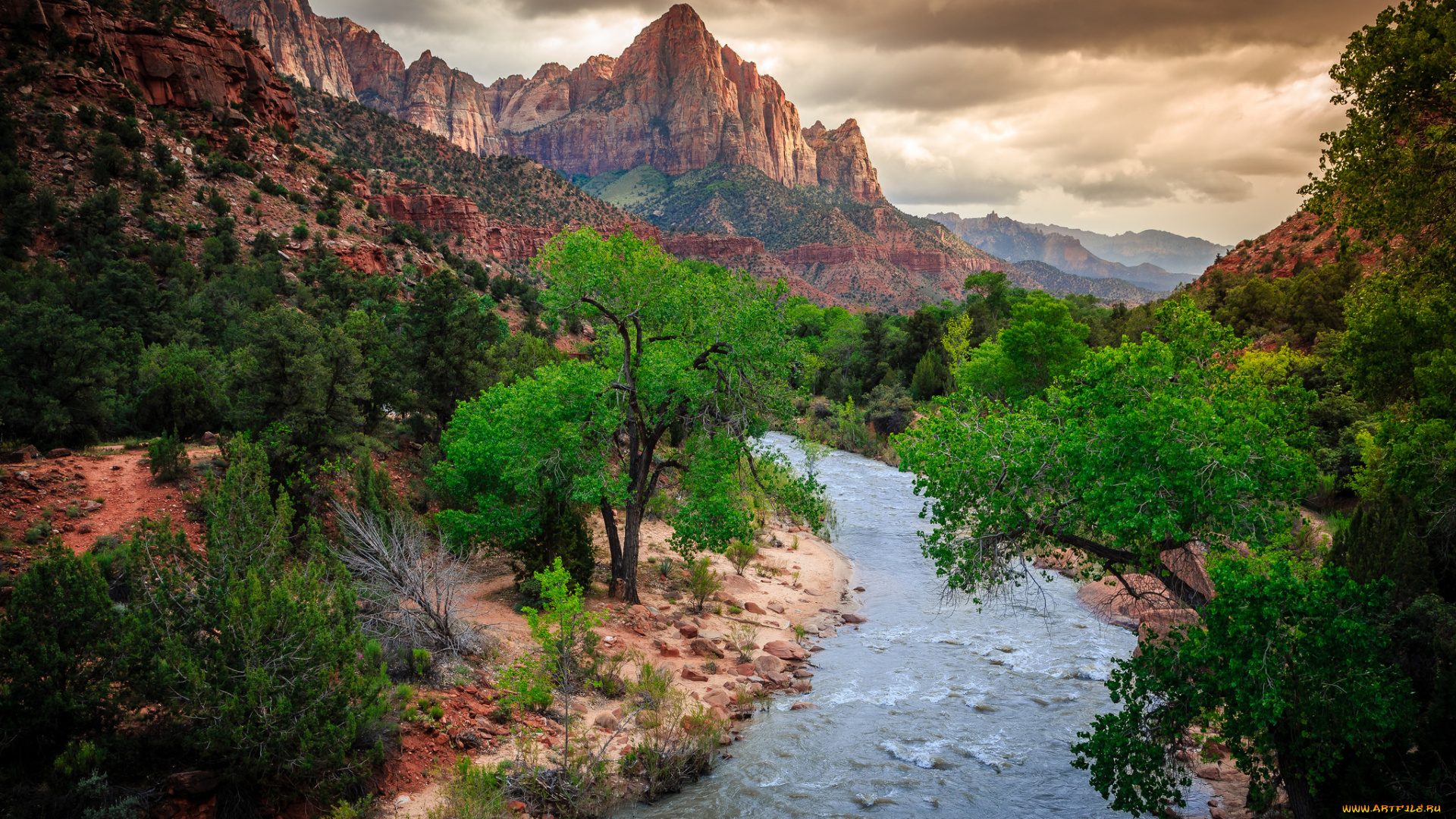 природа, реки, озера, лес, горы, река