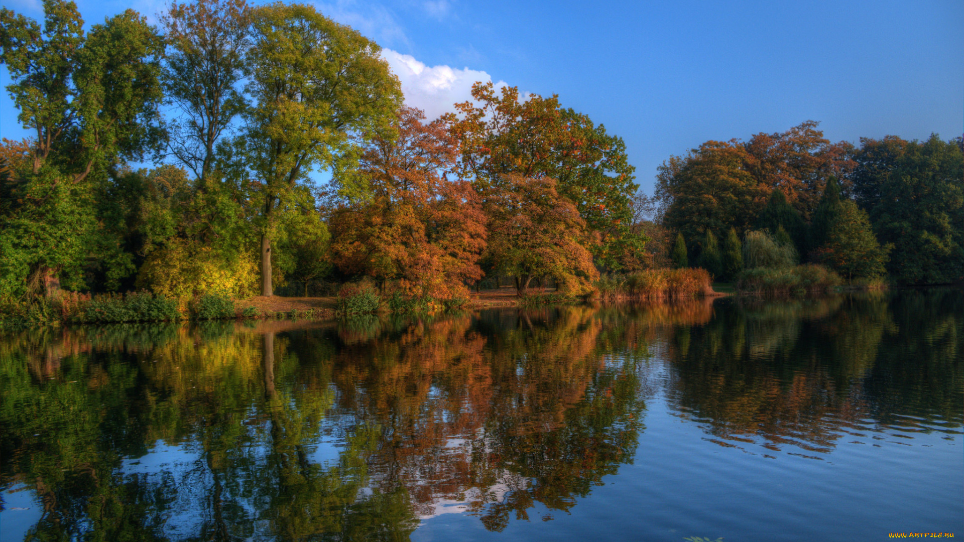 природа, реки, озера, лес, река