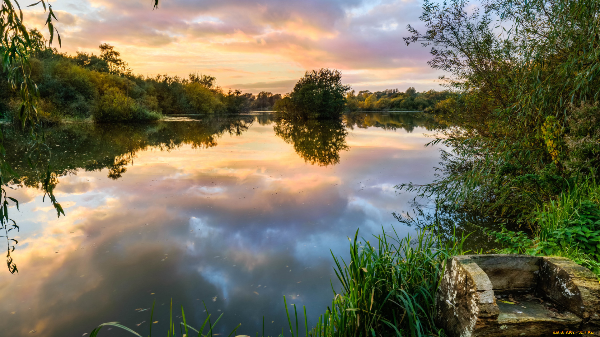 природа, реки, озера, лес, река