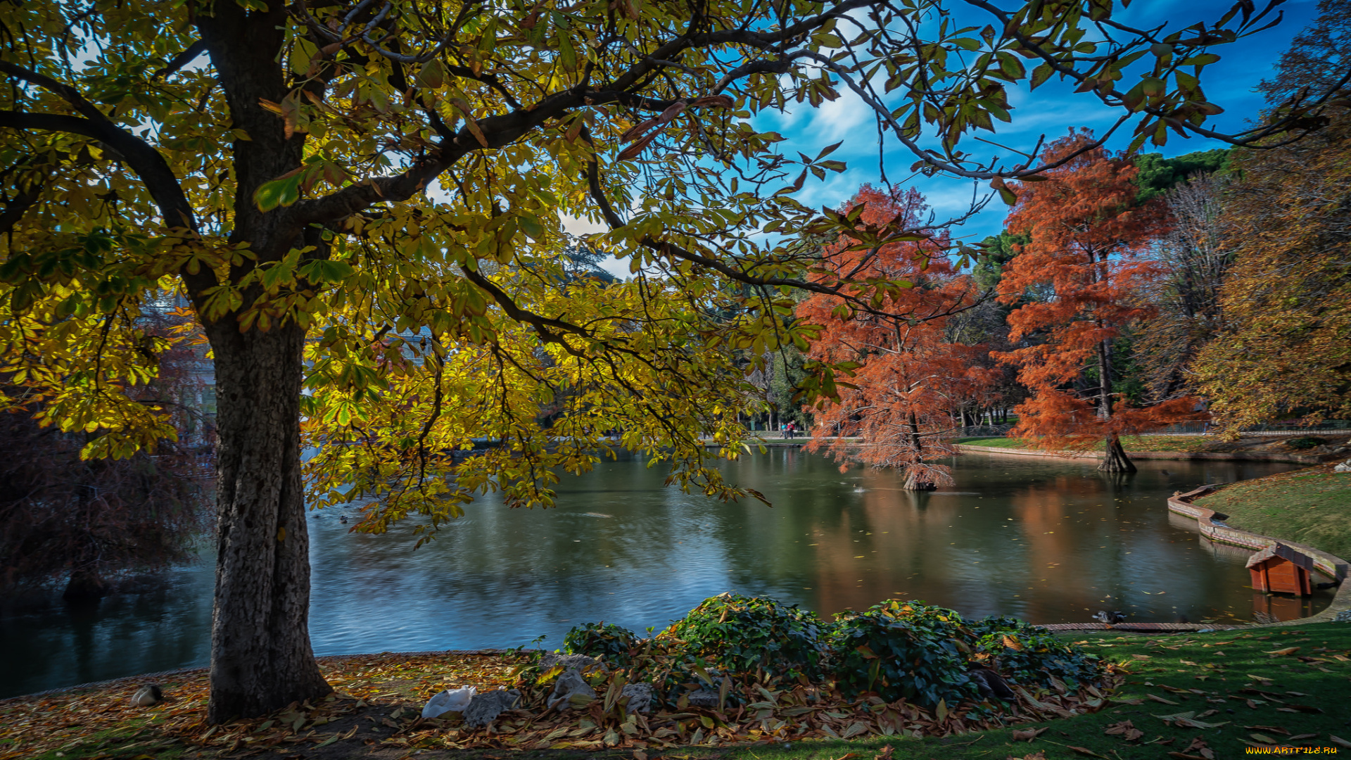 природа, реки, озера, лес, река