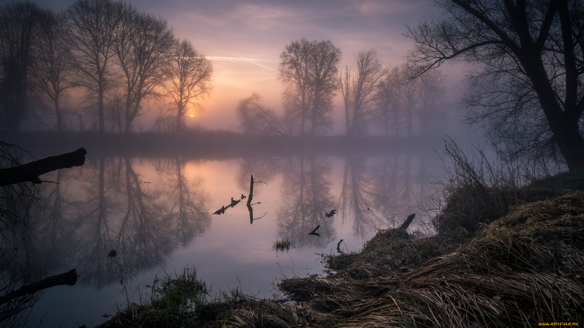 природа, реки, озера, лес, река