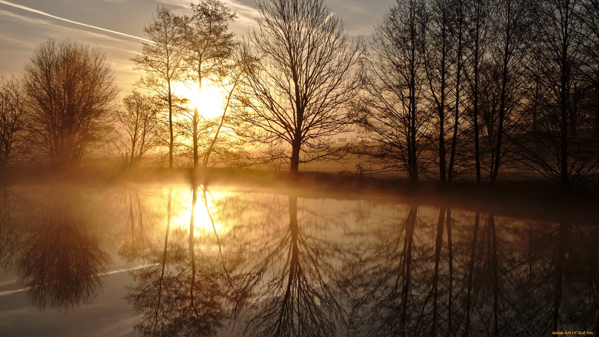 природа, реки, озера, лес, река