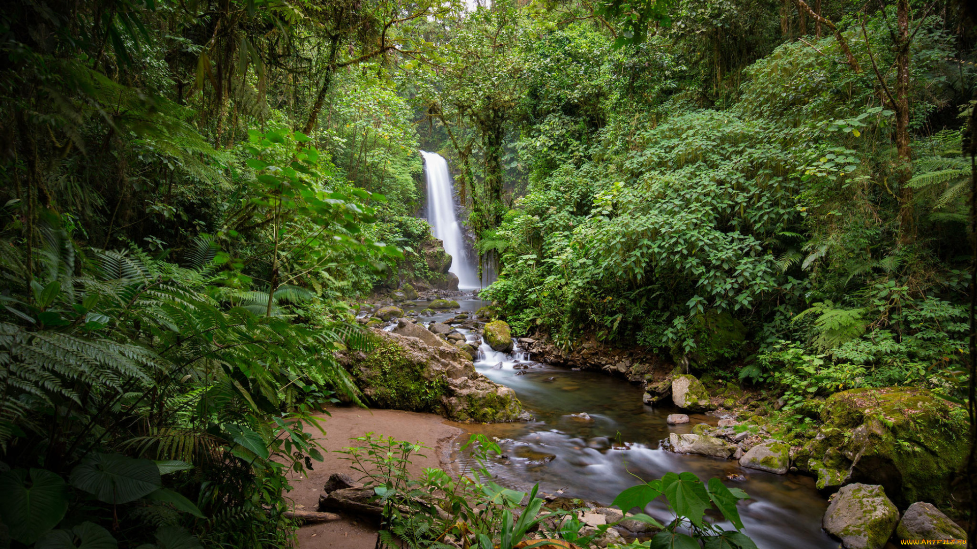 природа, водопады, деревья, лес, речка, водопад