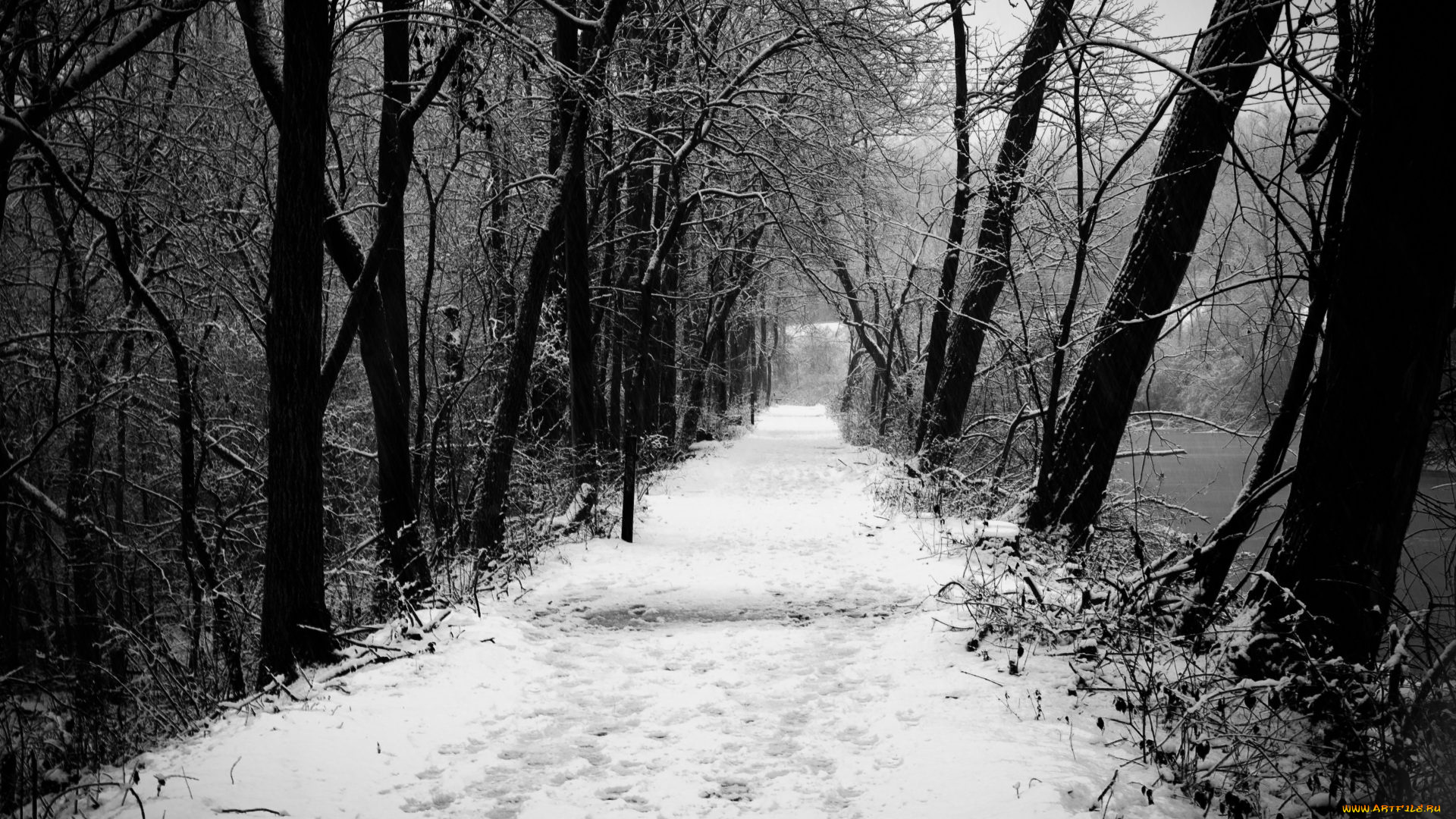 природа, зима, снег, деревья