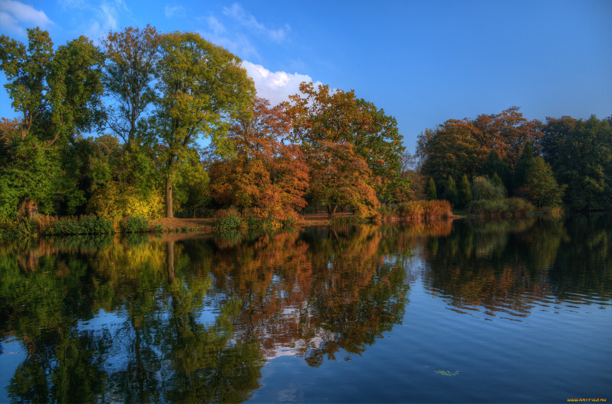 природа, реки, озера, лес, река