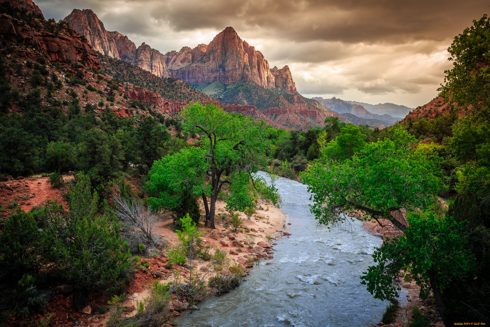 природа, реки, озера, лес, горы, река