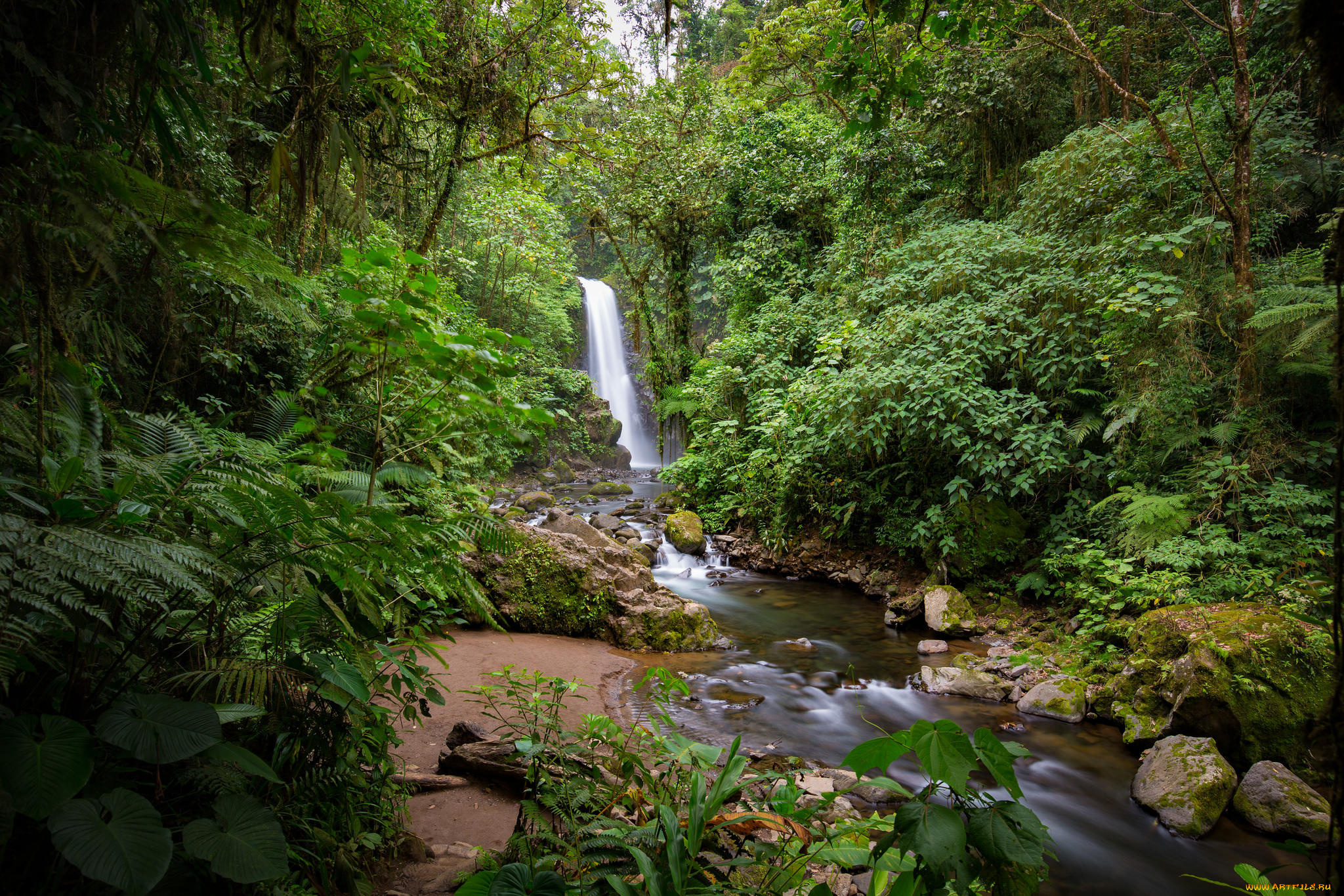 природа, водопады, деревья, лес, речка, водопад