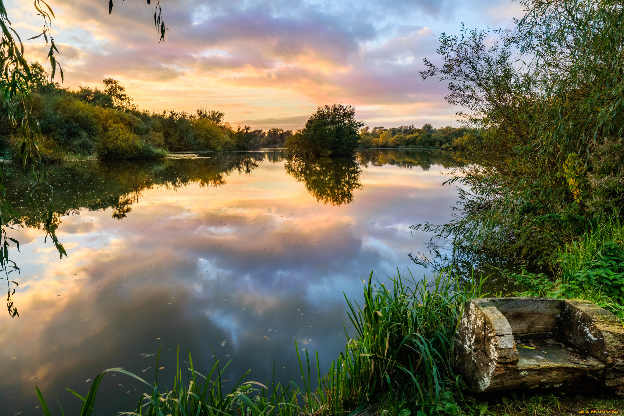 природа, реки, озера, лес, река