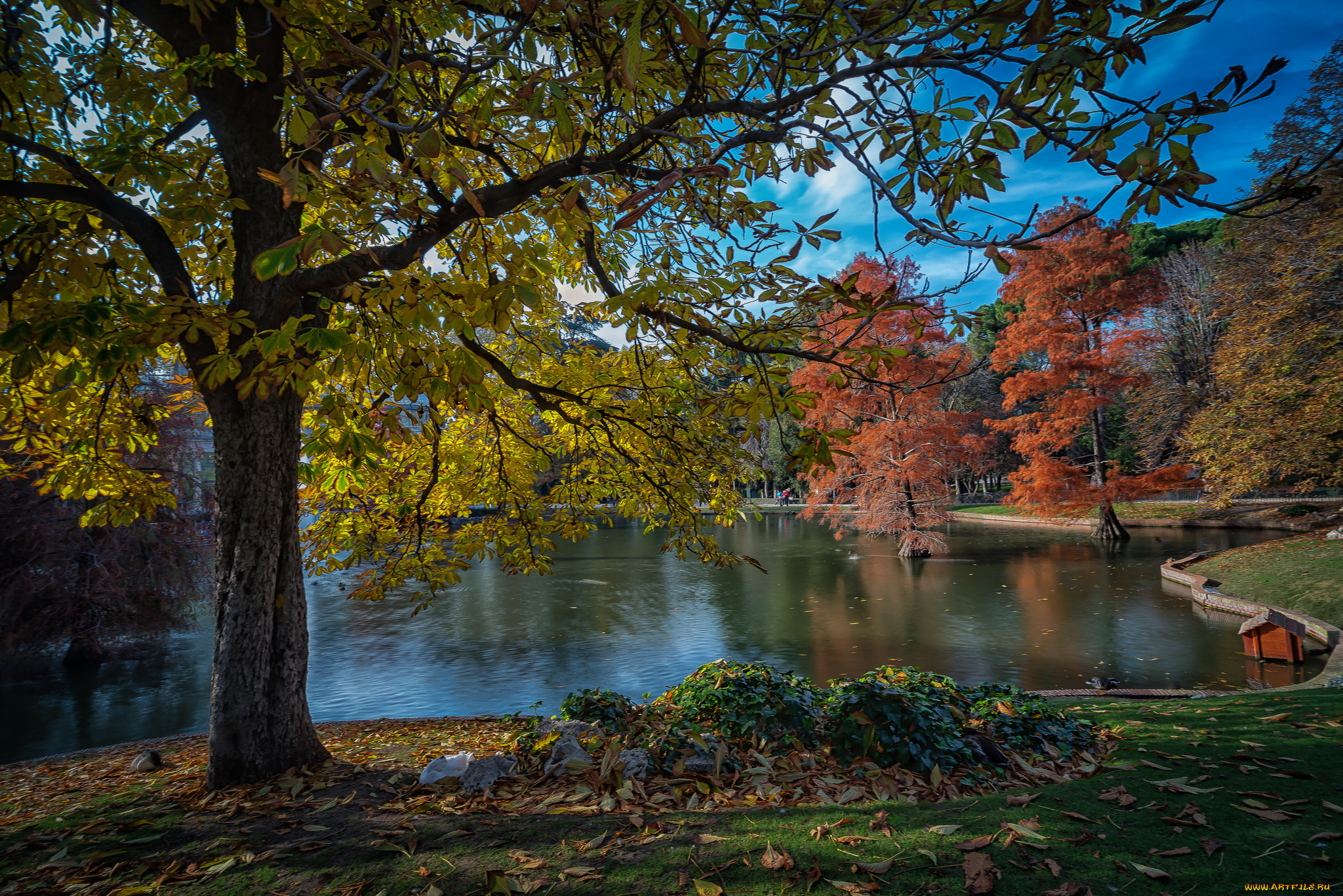 природа, реки, озера, лес, река