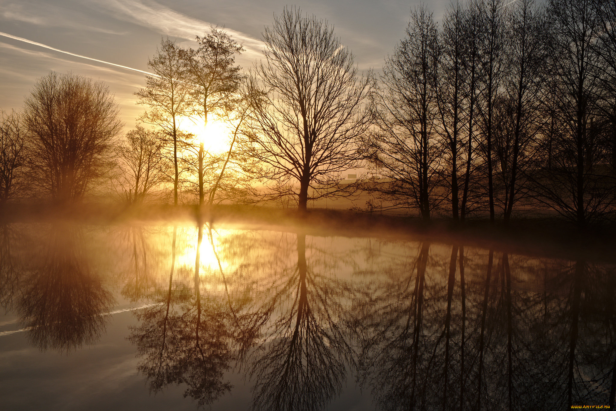 природа, реки, озера, лес, река