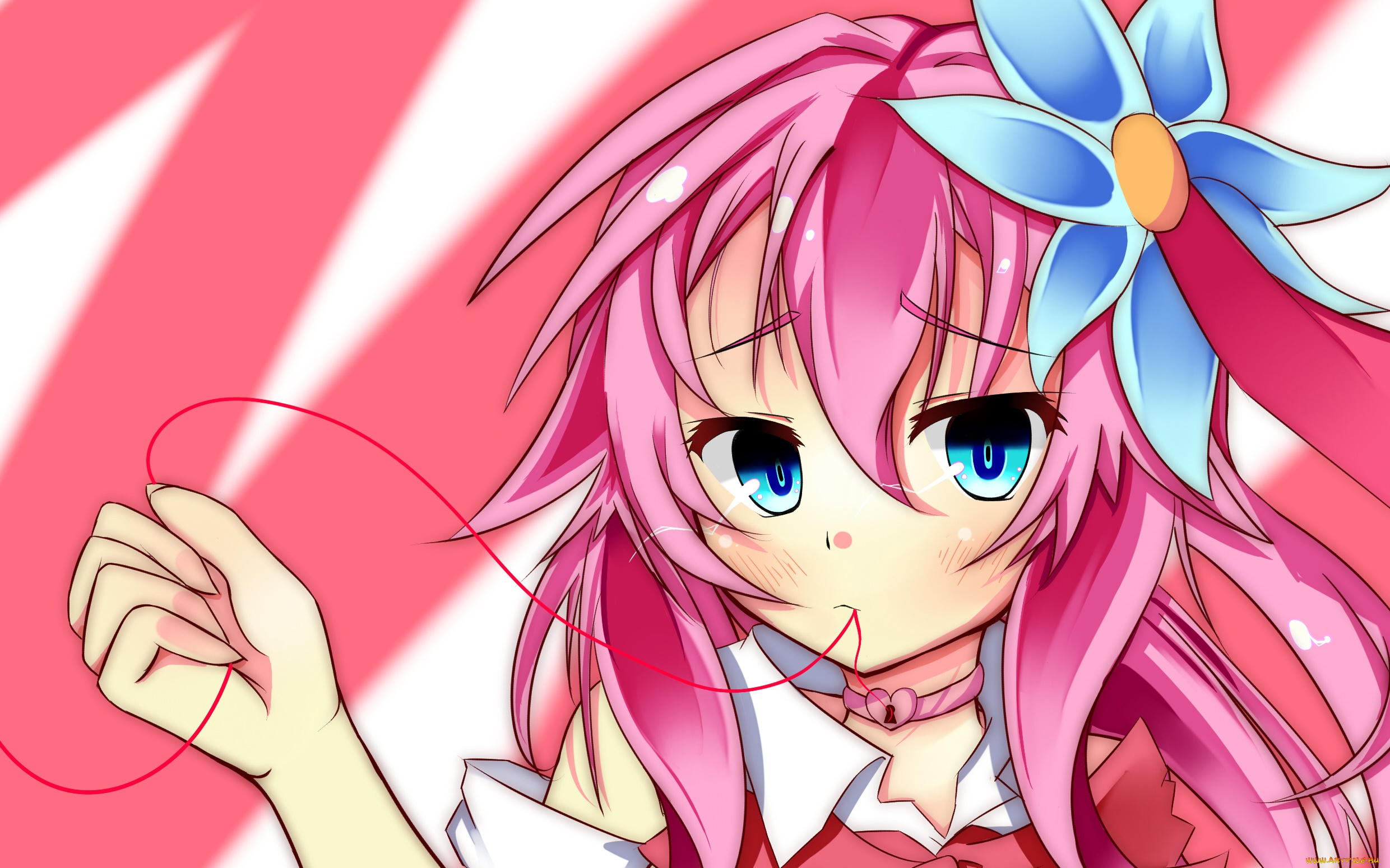 аниме, no, game, no, life, фон, взгляд, девушка