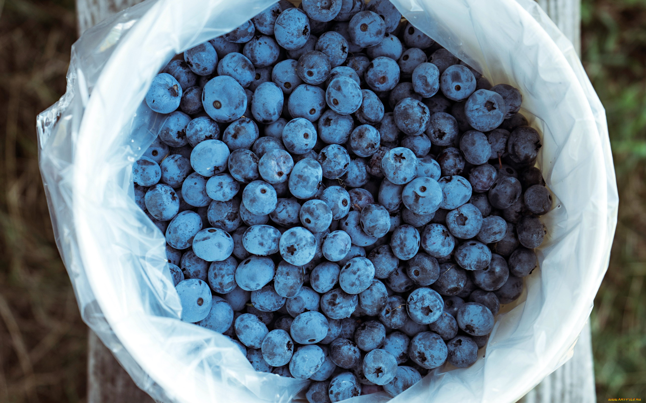 еда, голубика, , черника, ягоды