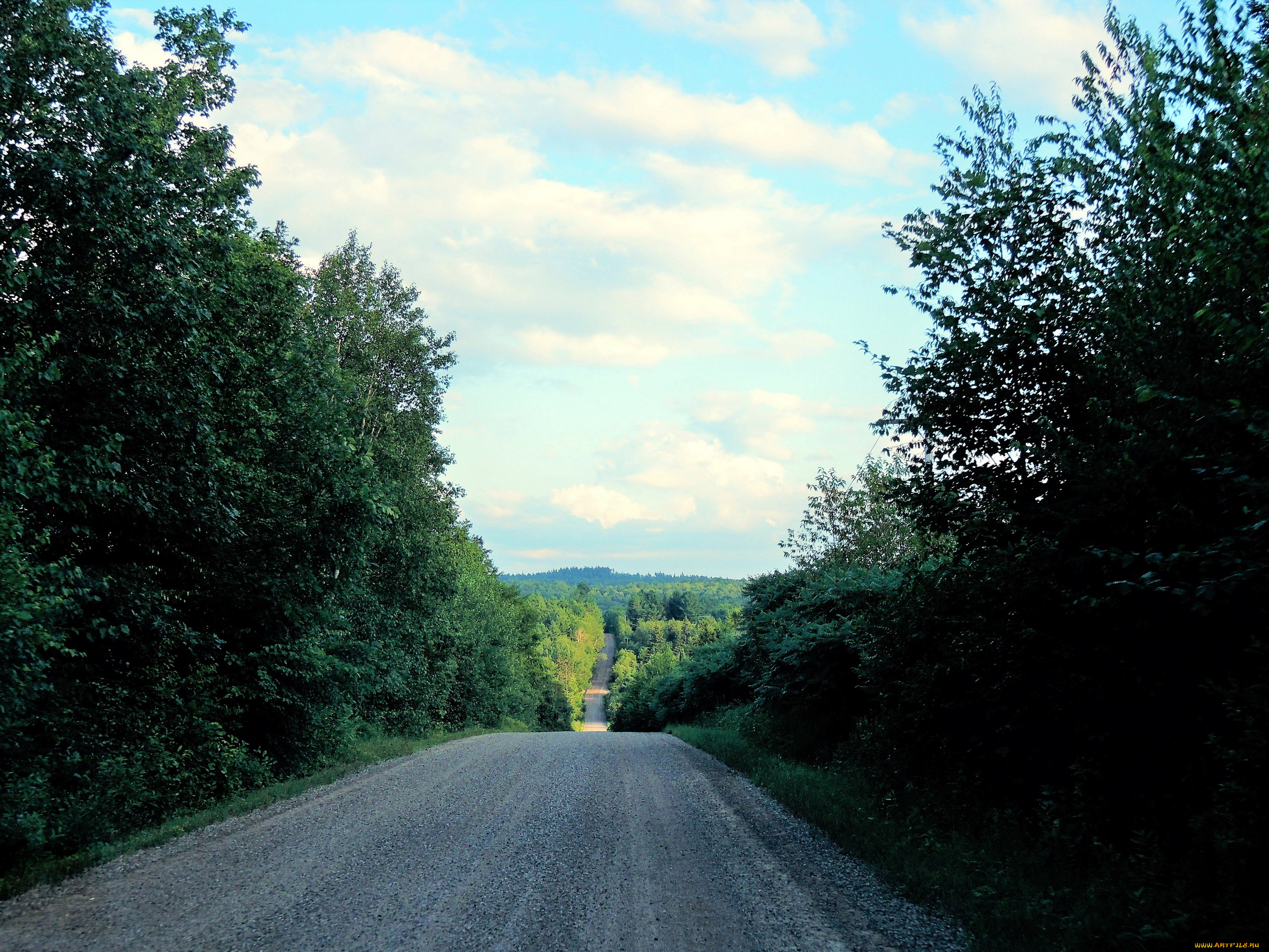 природа, дороги, лето, дорога, спуск