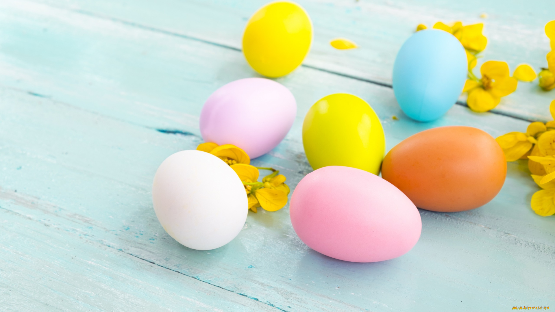 праздничные, пасха, яйца