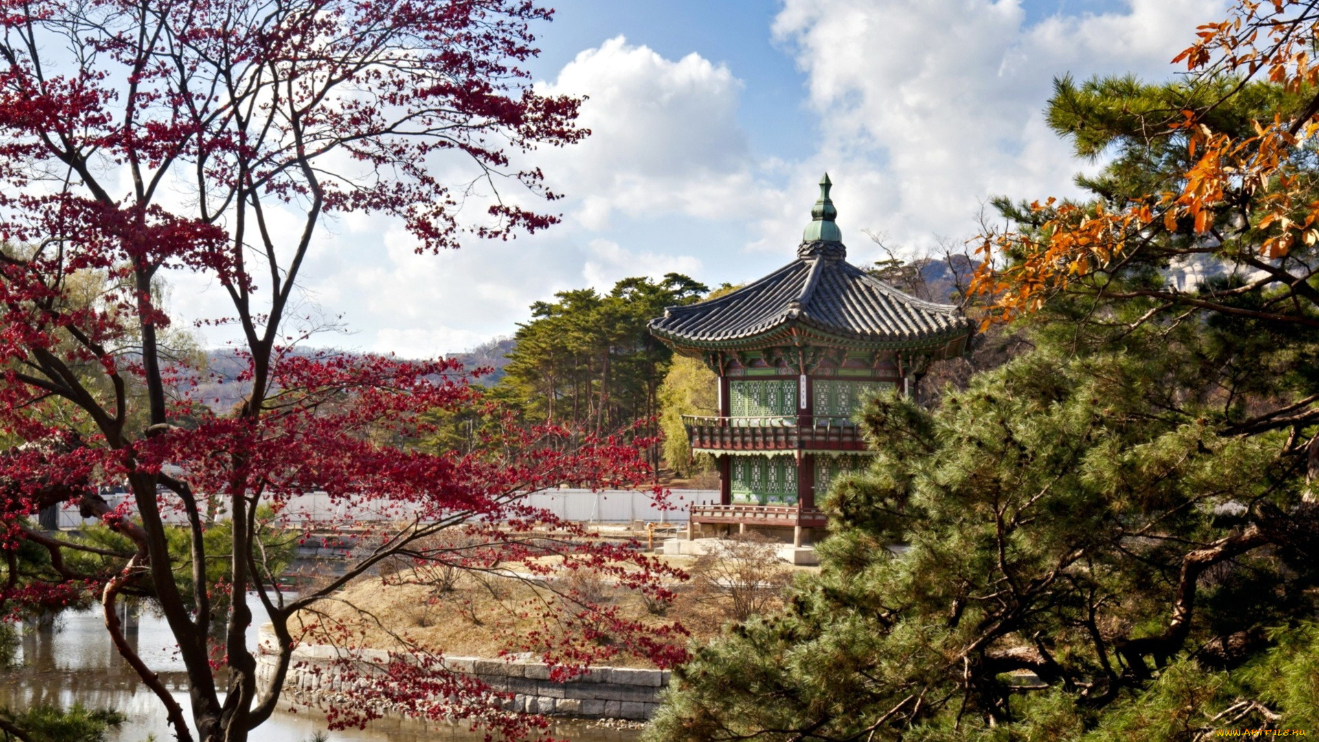 природа, парк, сад, японский