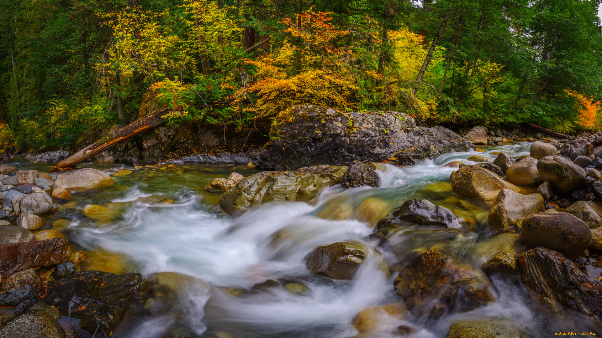 природа, реки, озера, простор