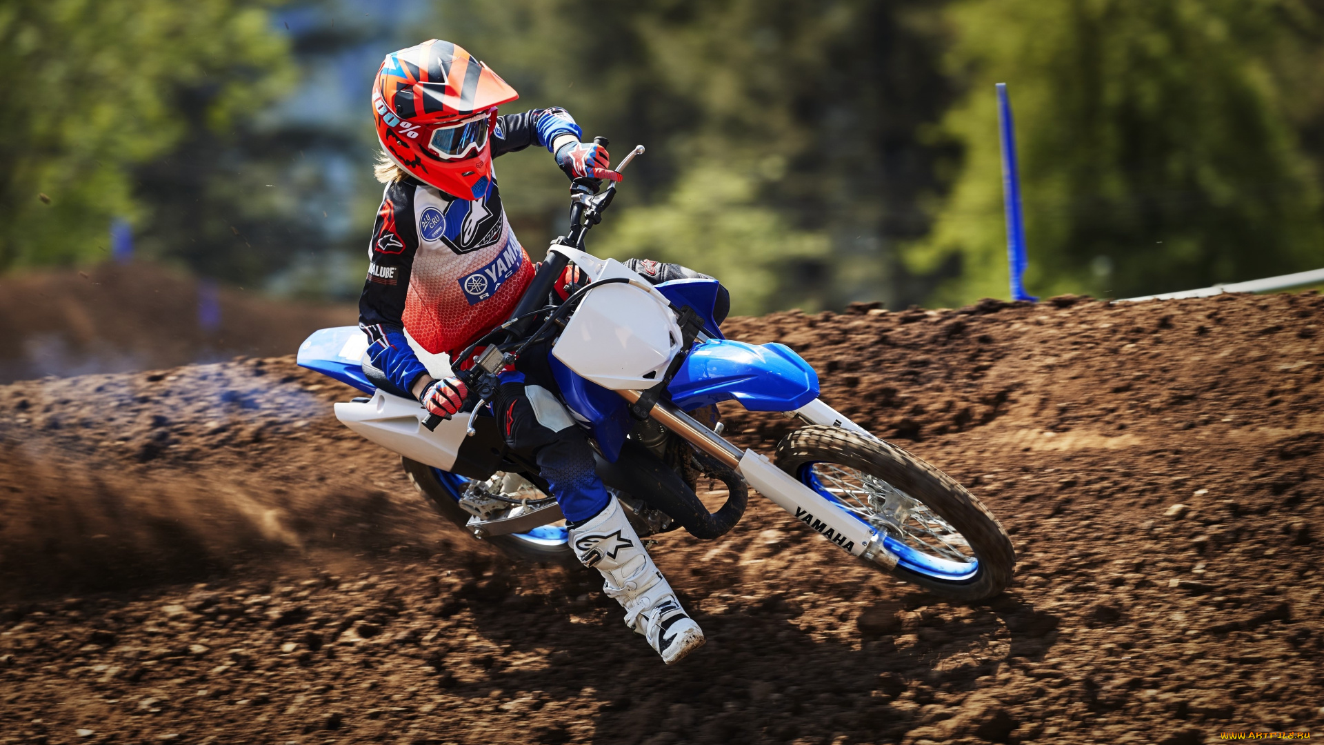 спорт, мотокросс, гонки, скорость, мотоцикл