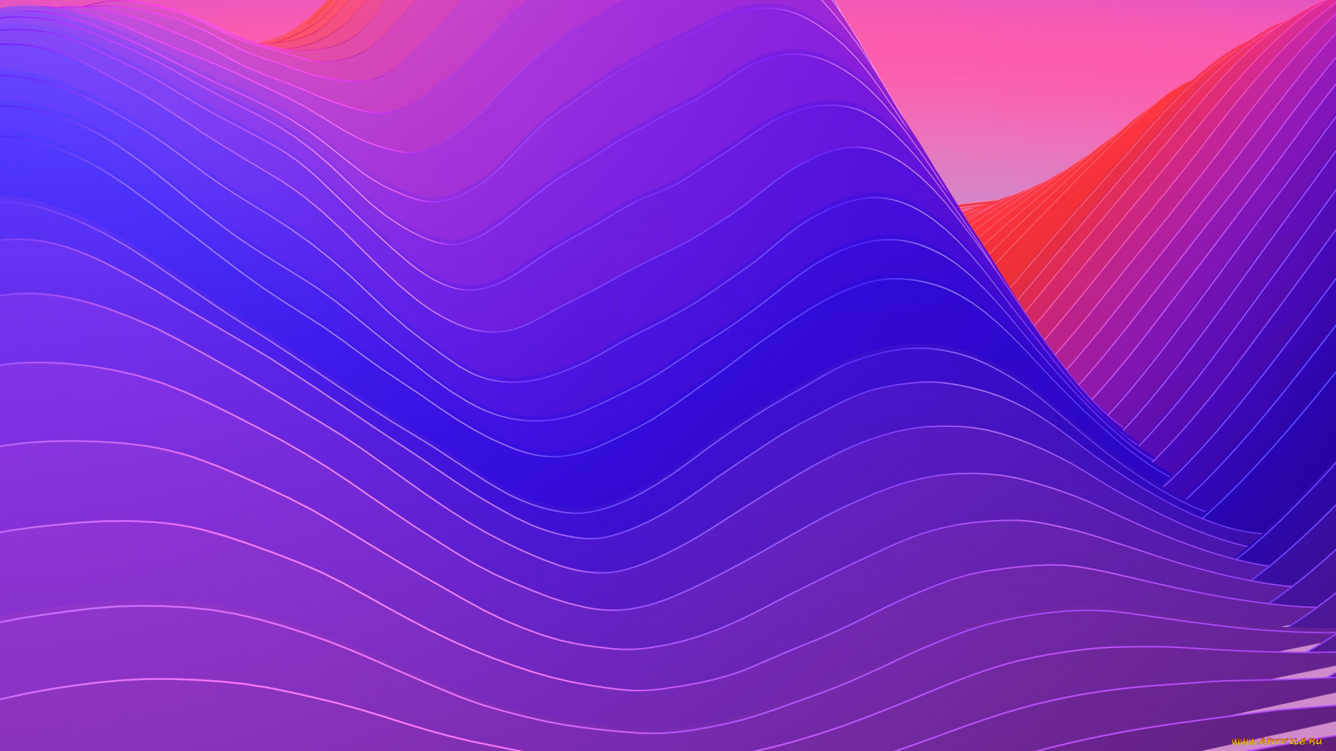 векторная, графика, графика, , graphics, изгибы, линии, цвета, фон, узор