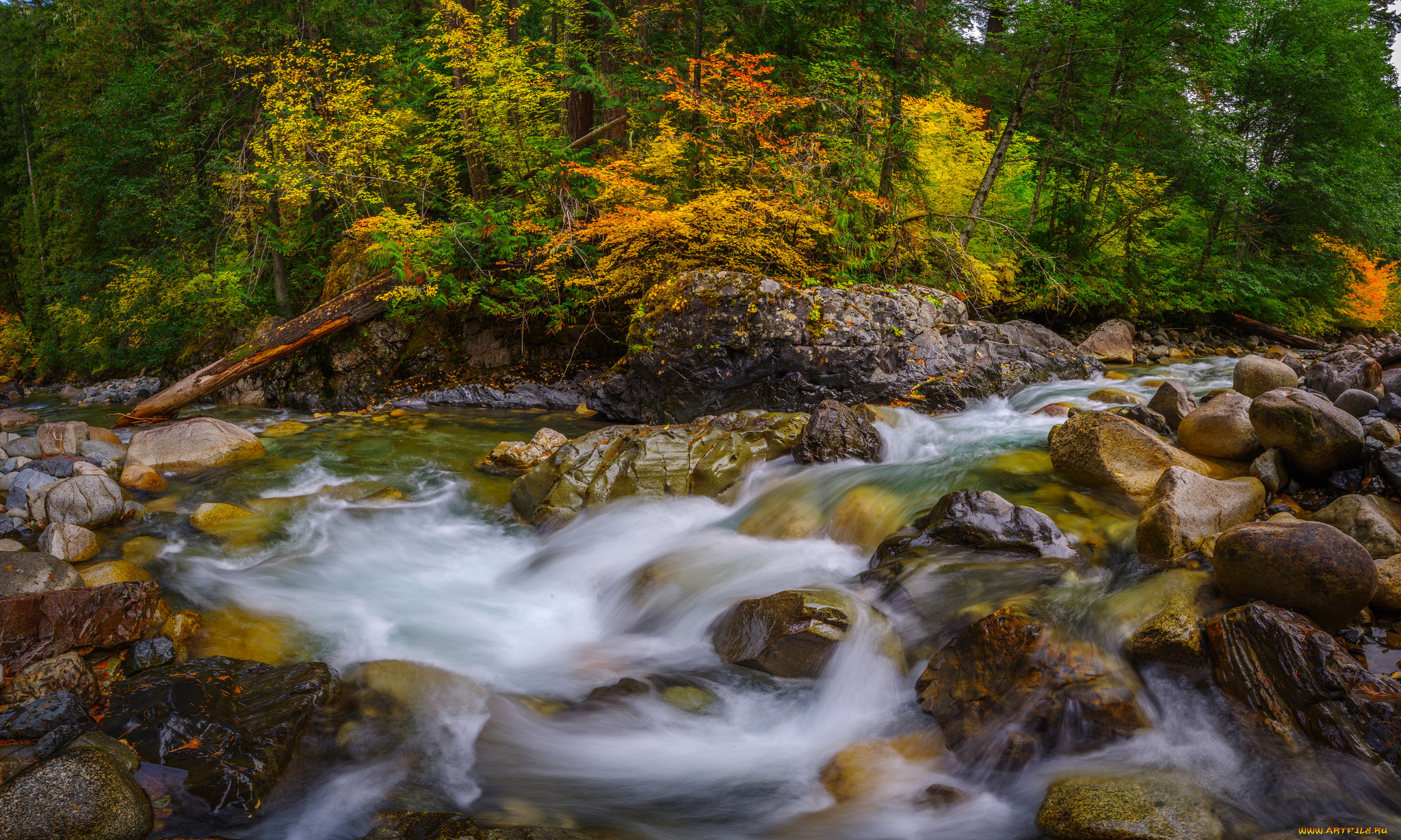 природа, реки, озера, простор